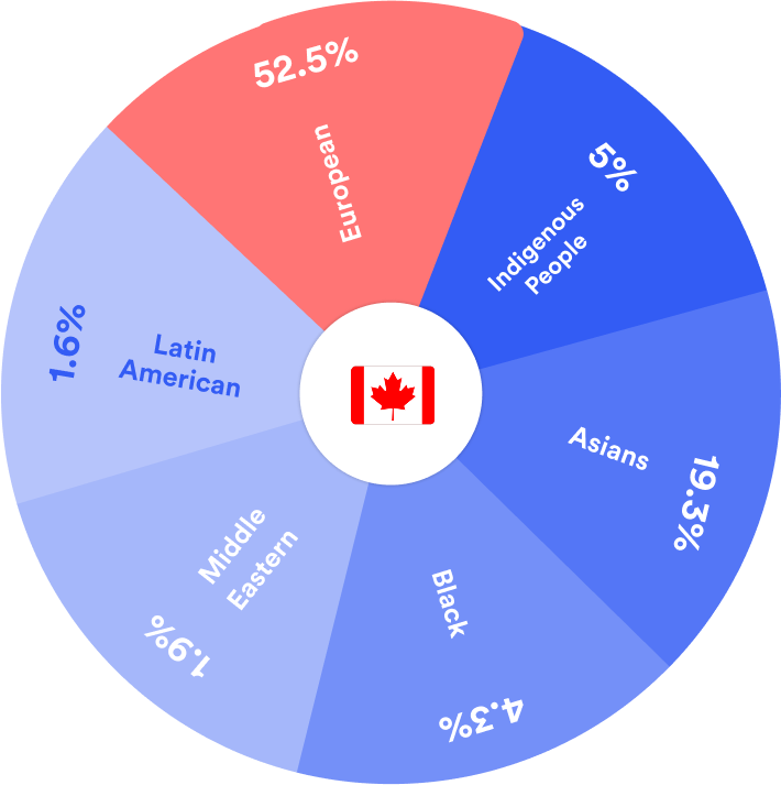 Static Pie Chart
